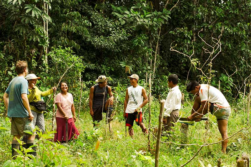Freiwillige helfen im Regenwald in Peru