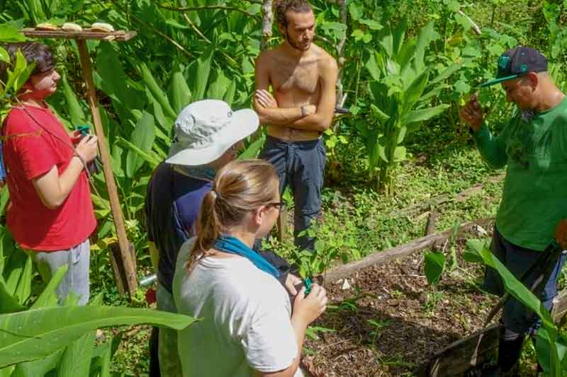 Freiwillige helfen beim Einpflanzen in Costa Rica