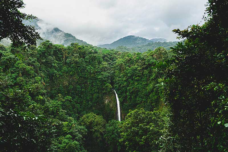 ein Wasserfall mitten im Dschungel in Costa Rica