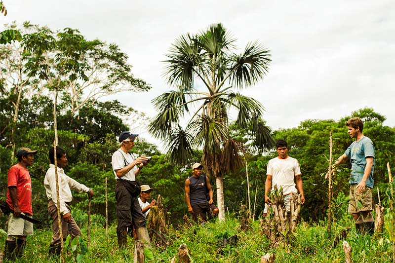 Freiwillige helfen im Regenwald in Peru