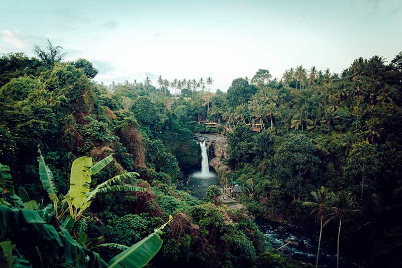 ein Wasserfall im Dschungel in Costa Rica