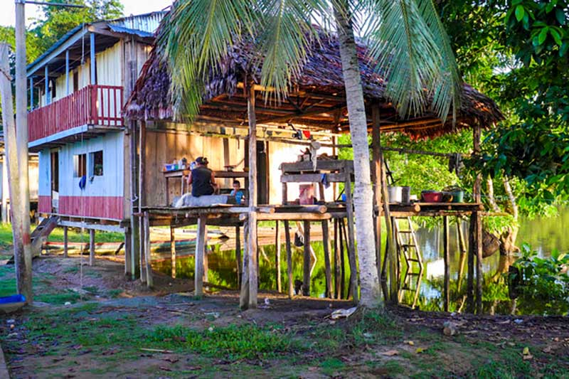 Palme vor Hostel im Regenwald in Peru