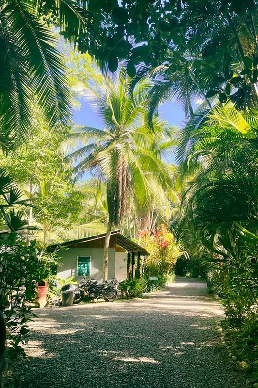Hostel in Costa Rica zwischen grünen Bäumen