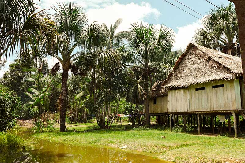 Palmen vor Hütte im Regenwald in Peru