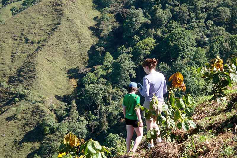 Freiwillige pflanzen Bäume im Dschungel in Costa Rica