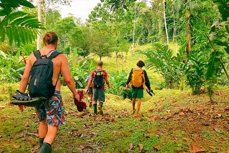Freiwillige laufen im Außenbereich der Permaculture in Costa Rica