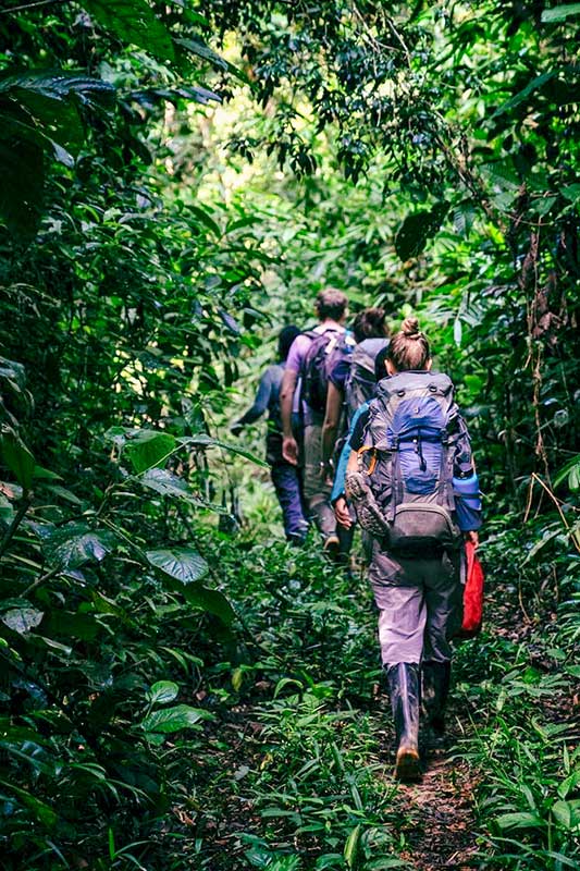 Backpacker Reisende im Regenwald in Peru