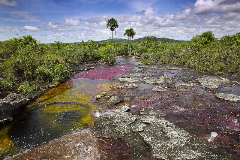 Caño cristales Colombia colorful basin