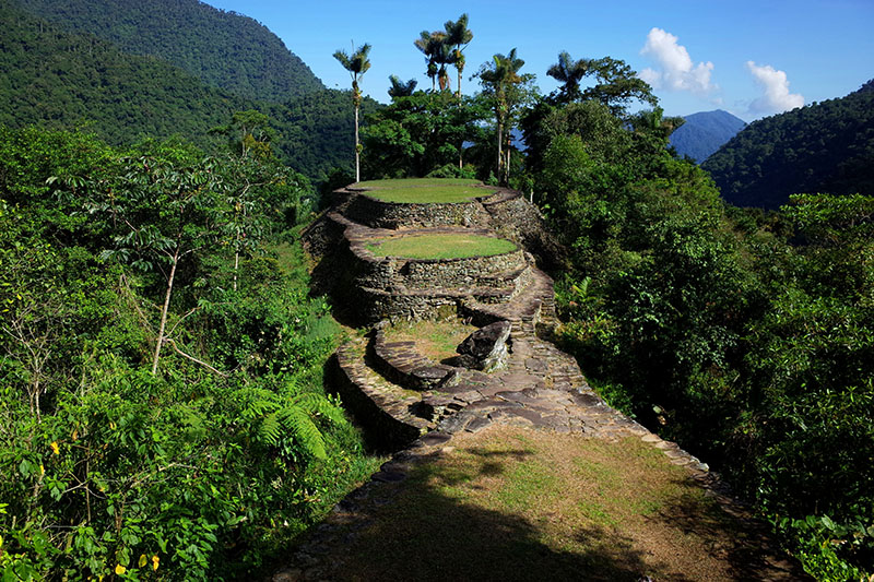 Natural stairs with palm trees in front of mountain in Colombia