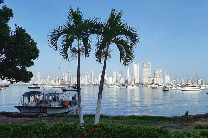 Cartagena skyline mit Palmen und Hochhäusern