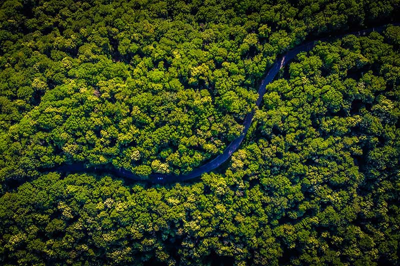 der Regenwald in Peru von oben mit Drohne