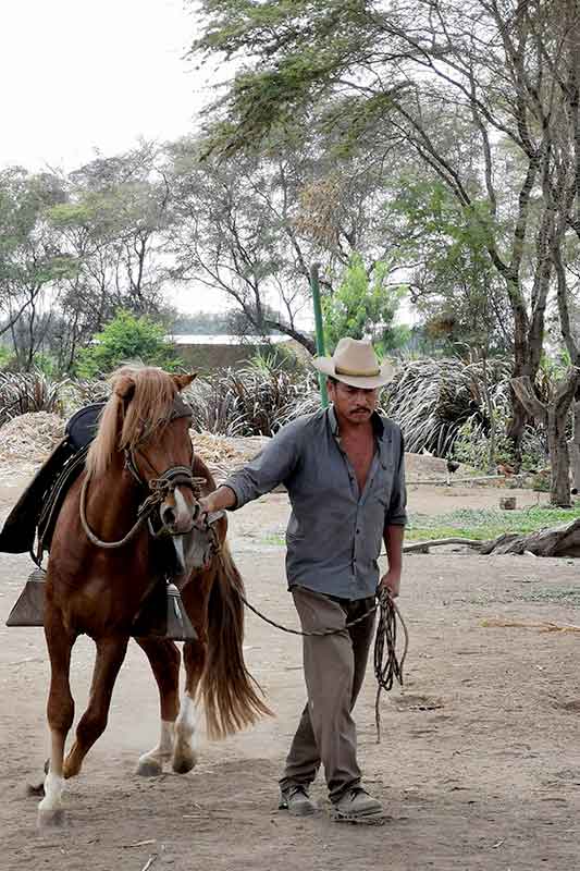 Einheimischer führt Pferd über Gelände in der Horse Ranch Peru