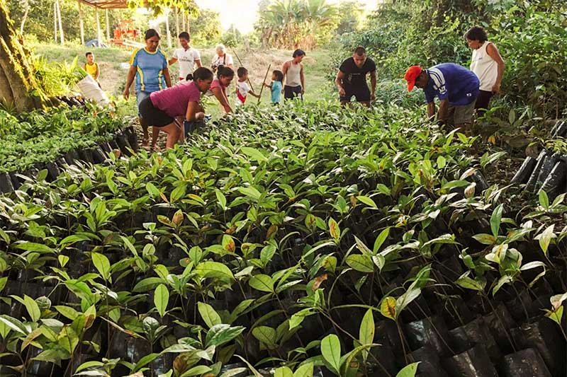 Freiwillige und Einheimische helfen im Garten im Regenwald in Peru
