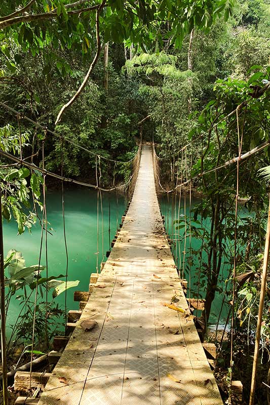 Brücke im Jungle