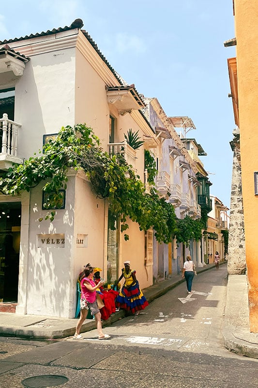 Straße in Cartagena mit großer grüner Pflanze
