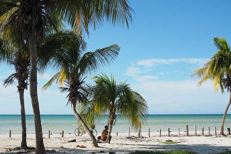 Strand in Mexiko mit Palmen