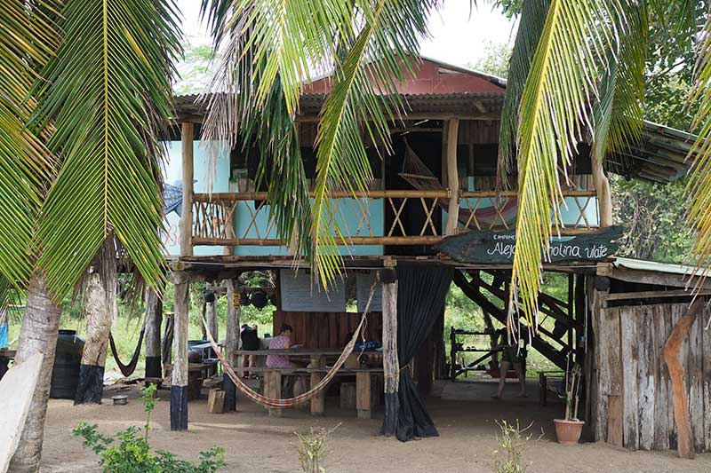 Accommodation on stilts with palm trees in Buena Vista Costa Rica