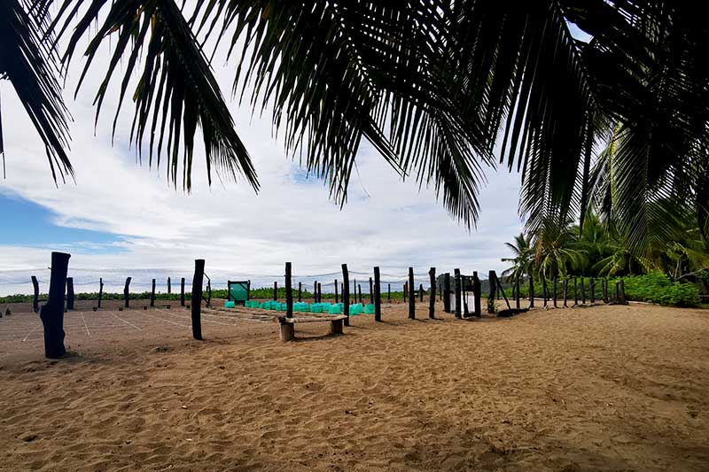 Beach with fence in Buena Vista Costa Rica