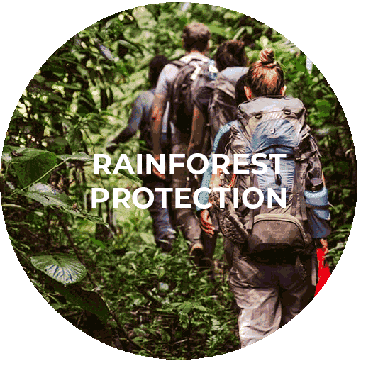 Button für das Rainforest Protection Programm Peru