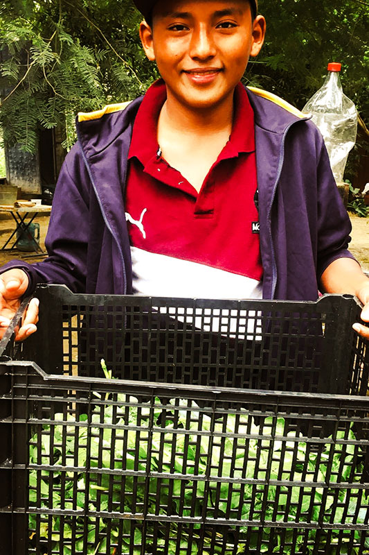 Boy holding harvested things in basket at Childcare project in Mexico