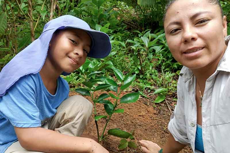 Einheimische pflanzen junge Bäume in die Erde in Costa Rica