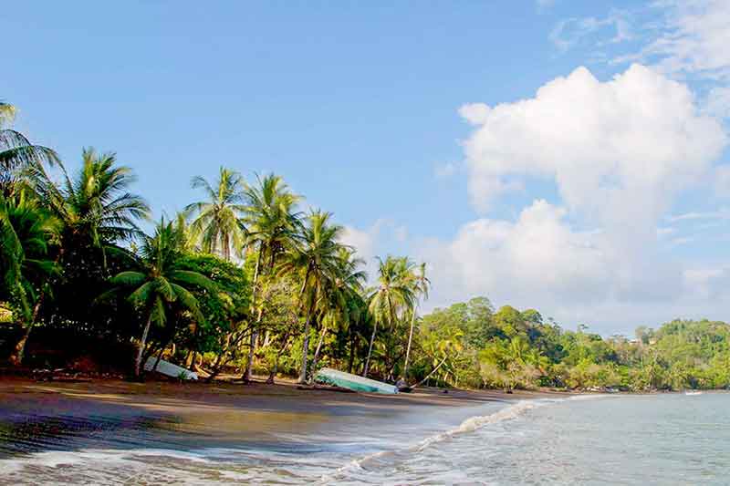 verlassener Sandstrand mit Palmen und Kanus in Costa Rica