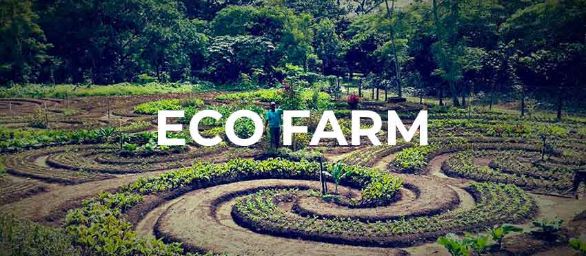 Schriftzug: Eco Farm Grünanlage