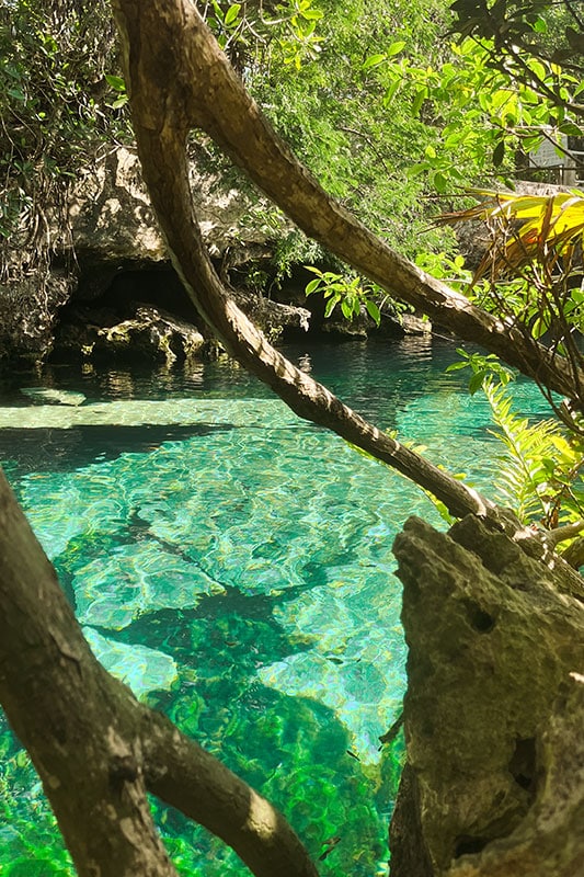 türkieses Wasser in einer Cenote