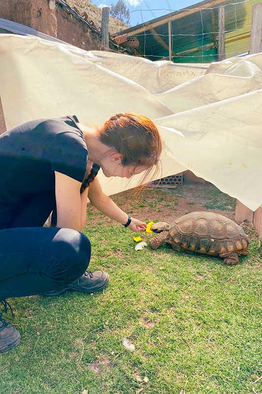 Lisa mit einer Schildkröte im Projekt