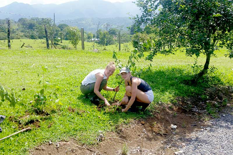 Freiwillige pflanzen Baum bei Farm Work in Costa Rica