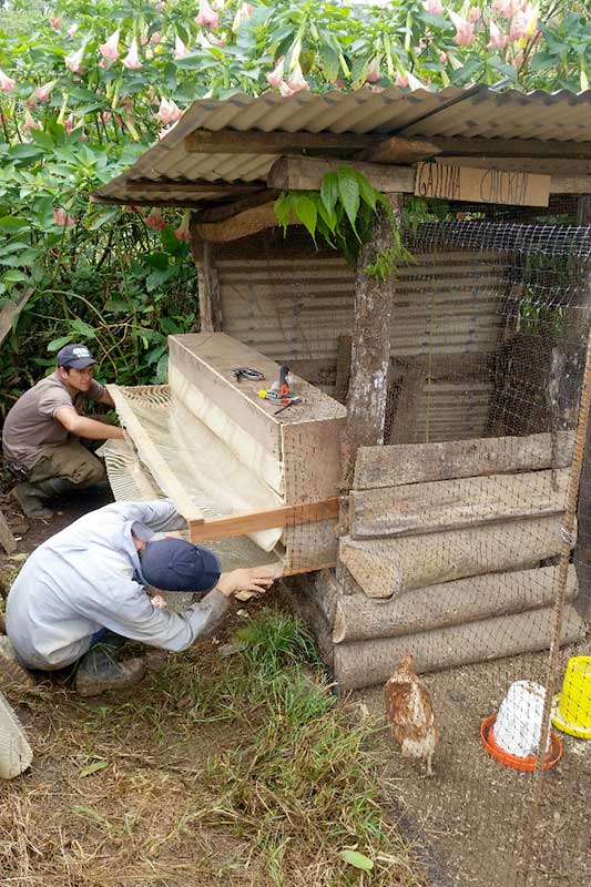 Freiwillige bauen Gehege in der Farm in Costa Rica