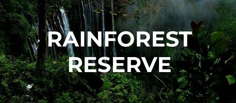 Lettering: rainforest reserve rainforest trees
