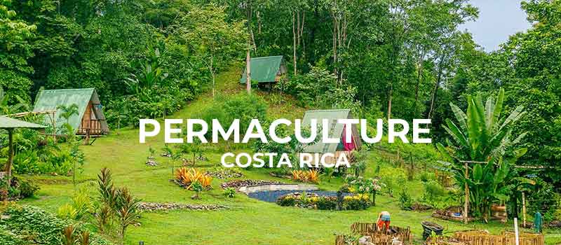 Schriftzug: Permaculture Costa Rica