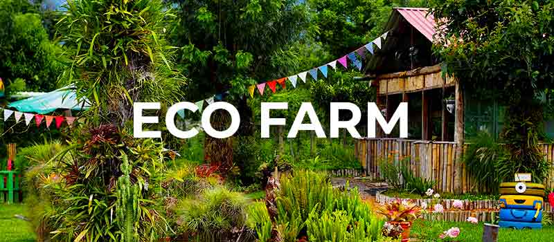 Schriftzug: Eco Farm Außenbereich der Unterkunft in Lateinamerika