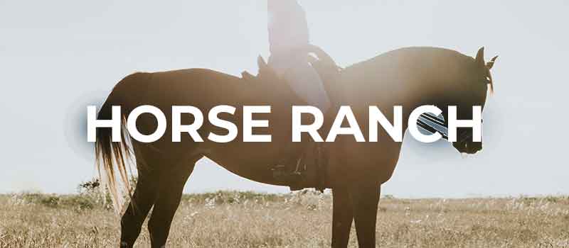 Schriftzug: Horse Ranch Reiterin auf Pferd