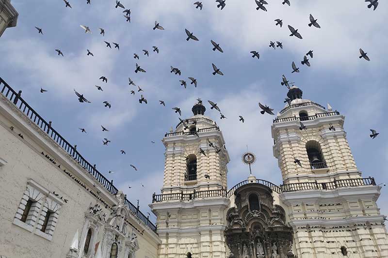 Vögel fliegen am Himmel vor Kirchtürmen