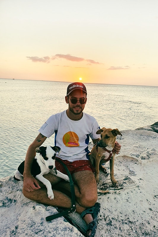 Joschka mit Hunden am Strand