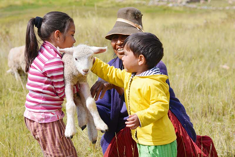peruanische Kinder streicheln ein Baby Schaf