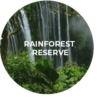Button für das Rainforest Reserve Programm