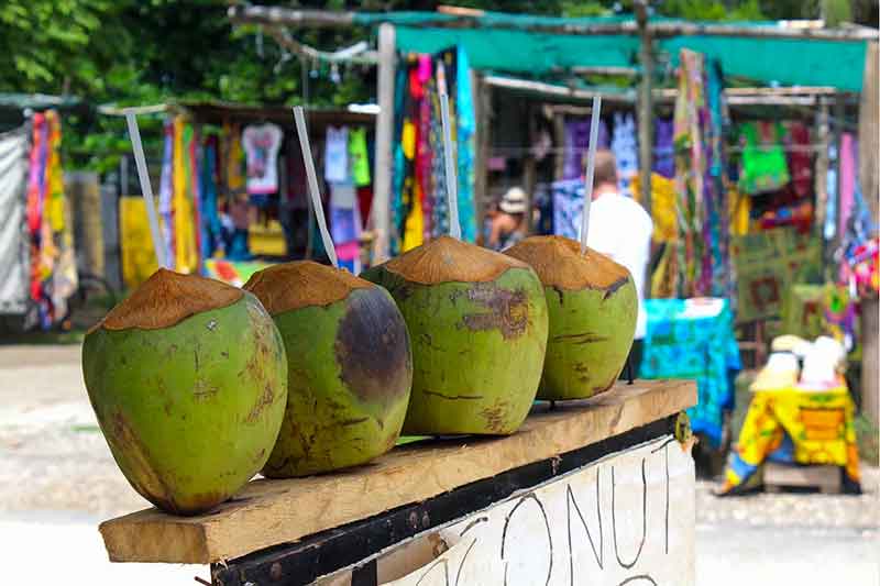 Kokosnüsse,Costa Rica