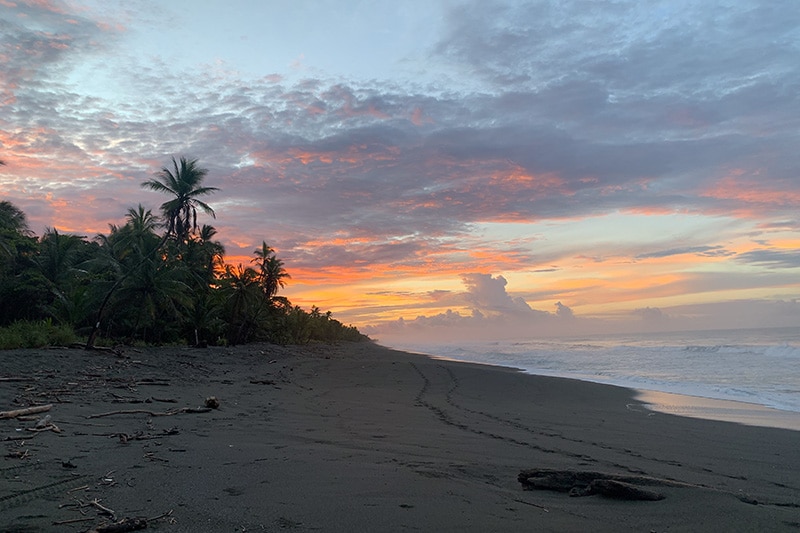 Strand mit Palmen und Sonnenaufgang