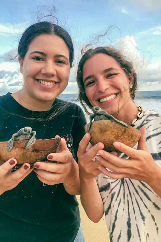 Baby Schildkröten in Kokosschale mit Freiwilligen am Sandstrand in Mexiko