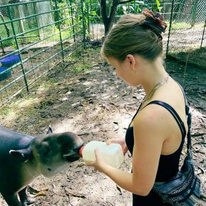 Vivien füttert einen Tapir mit der Flasche