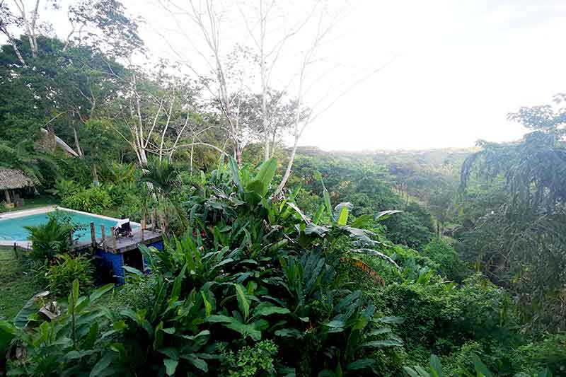 Wildlife Costa Rica Aussicht vom Hostel