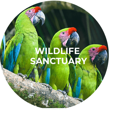 Button für das Wildlife Sanctuary Programm