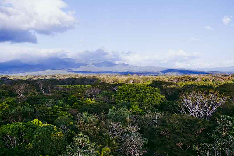 Landschaft Dschungel Wildlfie Costa Rica