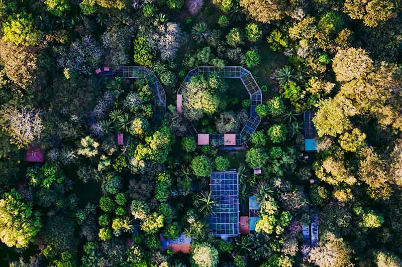 Wildlife Costa Rica im Dschungel von oben aus Drohnen Perspektive