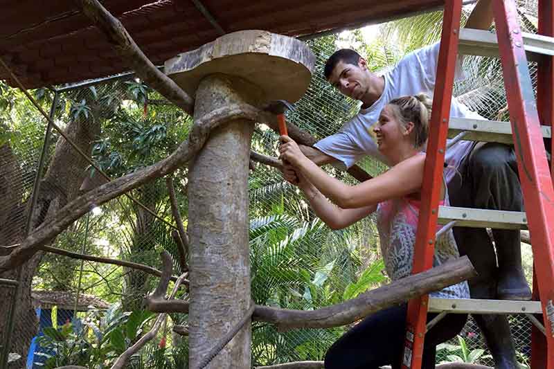 Freiwillige bauen das Gehege im Dschungel in Costa Rica um