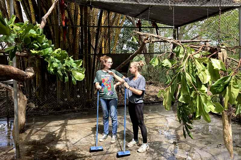 Freiwillige machen das Gehege sauber im Dschungel in Costa Rica