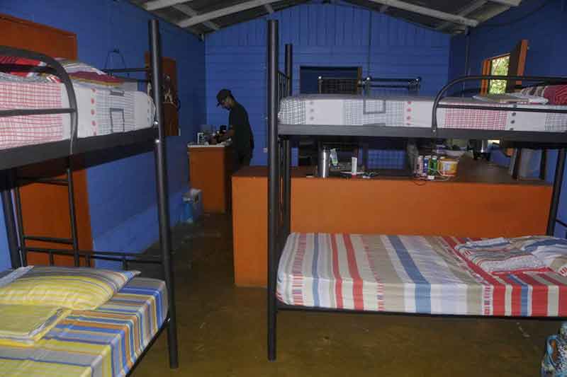 Mehrbettzimmer im Hostel im Dschungel in Costa Rica